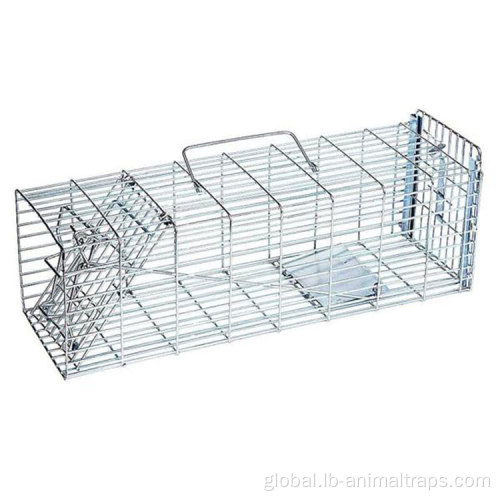 Small Animal Trap Cage Free Customized Logo Humane Mouse Trap Supplier